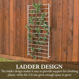 MyGift 4 Foot Tall Modern Matte White Metal Wall Mounted Horizontal Bars Trellis, Outdoor Hanging Support Frame for Climbing Garden Plants and Crawling Vines