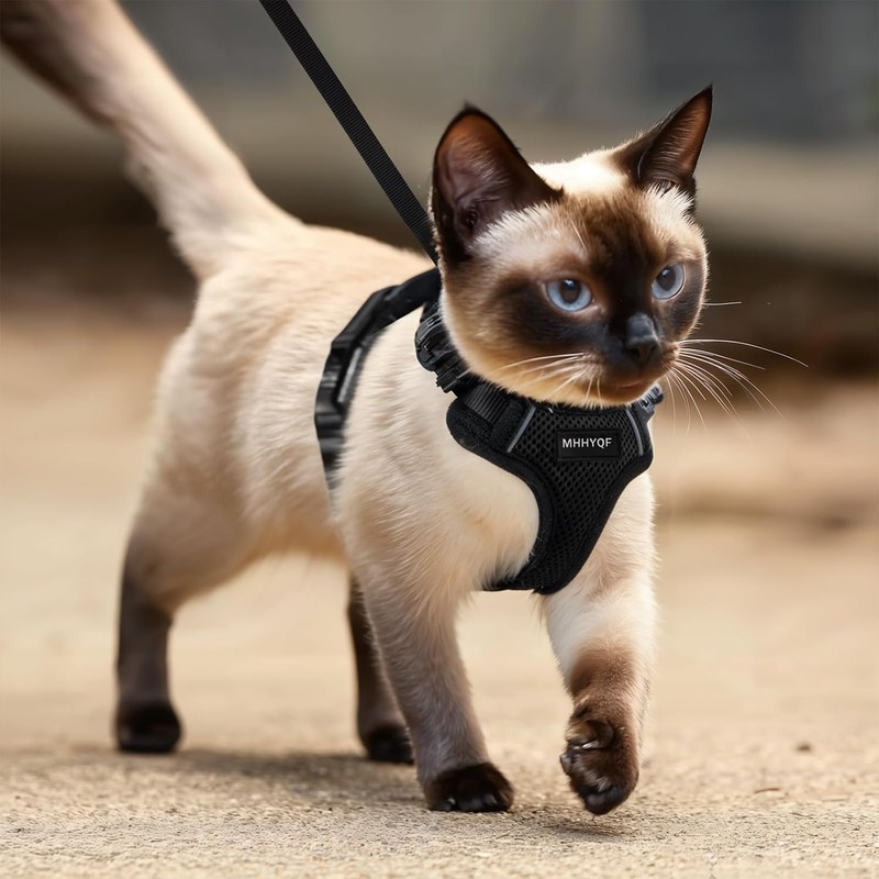 Cat Harness and Leash for Walking, Cat Car Harness, Soft