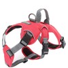JUNELILY Pet Harness for Dogs Cats | Adjustable Soft Padded