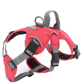 JUNELILY Pet Harness for Dogs Cats | Adjustable Soft Padded Vest with Handle and Attachment for Leash - Large