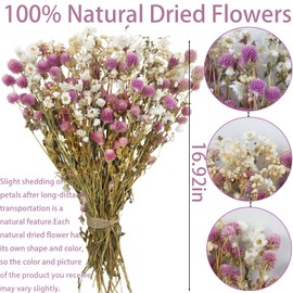 ACRYCS Artificial Flower Bouquet Pink Globe Amaranth Dried Flower Gypsophila Bundles Natural Dried Flowers Gerber Daisies Flowers Floral Arrangements for Wedding Table Centerpiece Boho Decor Farmhouse