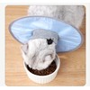 1Pc Dog Neck Cone Collar, Cat Recovery Collar Adjustable Cat
