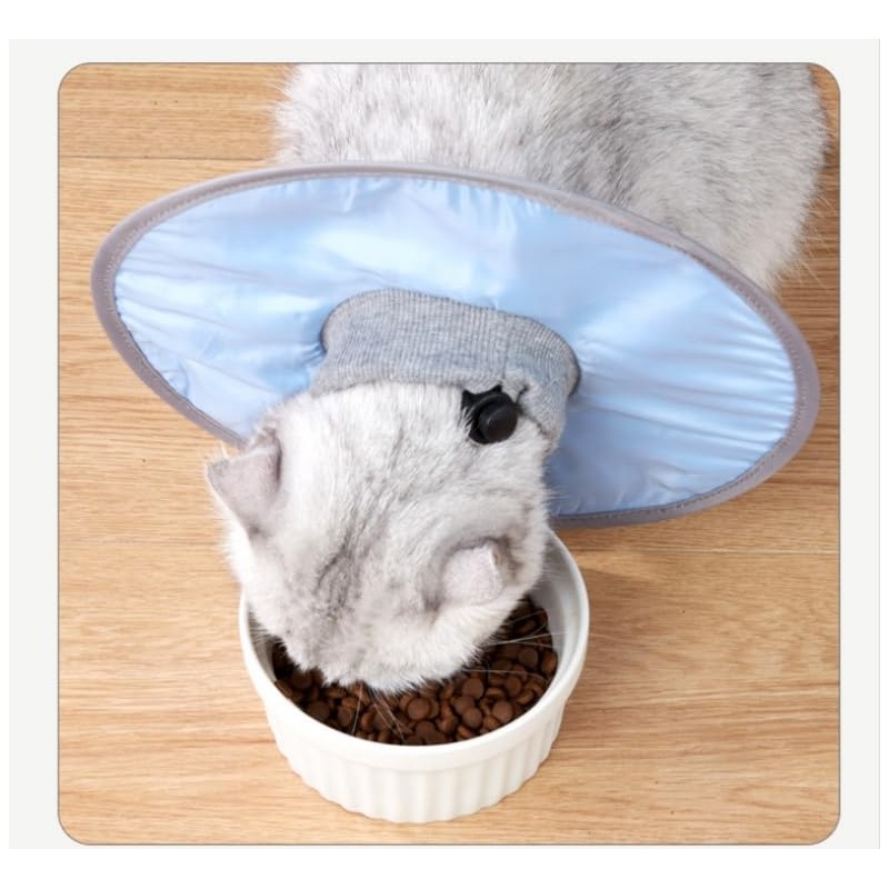 1Pc Dog Neck Cone Collar, Cat Recovery Collar Adjustable Cat