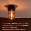 Bon Furniture Ceiling Light, Small Ceiling Light, Indoor Marine Lamp,