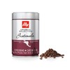 Illy - Arabica Selection Guatemala Beans - 6x 250g