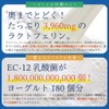 EC-12乳酸菌＆ラクトフェリン粒 大容量約6ヶ月分/360粒（EC-12乳酸菌、ラクトフェリン、ビール酵母、ホエイプロテイン、ビタミンB6）