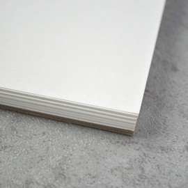 Bee Paper Co-Mo Sketch Pad, 9-Inch by 12-Inch