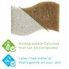Kandid Eco-Friendly Biodegradable Sponge Set Of 12 Sponges | Coconut