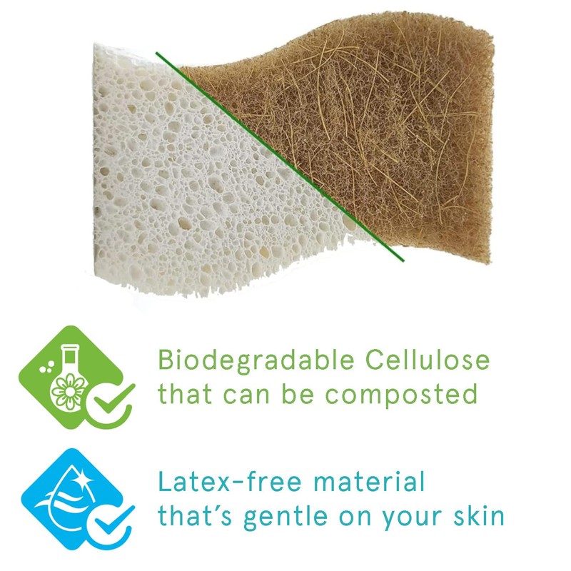 Kandid Eco-Friendly Biodegradable Sponge Set Of 12 Sponges | Coconut