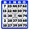 Unbranded Large Print Bingo Card for Low Vision, Games, Large, Vision, Travel, Big