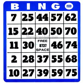 Unbranded Large Print Bingo Card for Low Vision, Games, Large, Vision, Travel, Big