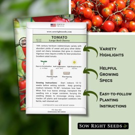 Sow Right Seeds - Large Red Cherry Tomato Seeds for Planting - Non-GMO Heirloom Packet with Instructions to Plant a Home Vegetable Garden - Tasty Snacking Variety, Start Indoors - Indeterminate (3)