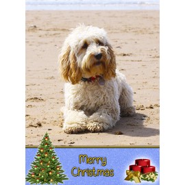 Cockapoo Dog Christmas Card 'Merry Christmas' - Special Animal Xmas Card for Him Her from Pets Kids