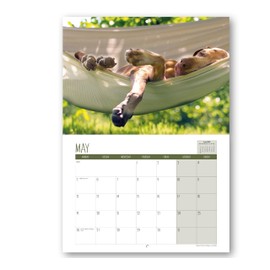 2025 A4 Crazy Cannines. One Month to View. A3 when open. Wall Calendar by Absolutely Yours.