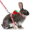 ORZECHKO Rabbit Harness and Leash - Adjustable Bunny Harness Escape