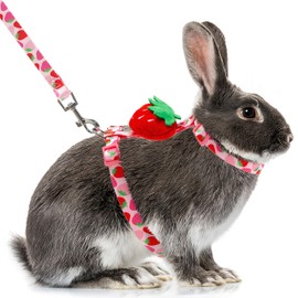 ORZECHKO Rabbit Harness and Leash - Adjustable Bunny Harness Escape Proof for Walking Running Hiking Camping Outdoor - Pink Strawberry Pattern Cute Small Animal Harness Leash Set