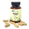 26 Herb Maya Mezcla Herbal Con Gordolobo 30 Cápsulas