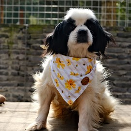 CROWNED BEAUTY Spring Summer Dog Bandanas Reversible Large 2 Pack, Floral Bee Set, Plaid Polka Dots Adjustable Triangle Holiday Yellow Scarves for Medium Large Extra Large Dogs Pets DB32-L