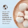 MyPure Lion's Mane Mushrooms – 100% de hongos reales, 60