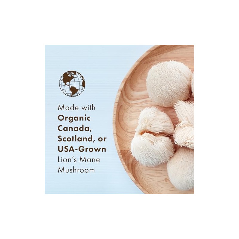 MyPure Lion's Mane Mushrooms – 100% de hongos reales, 60