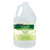 Biokleen Bac-Out Stain Remover for Clothes & Carpet - 128