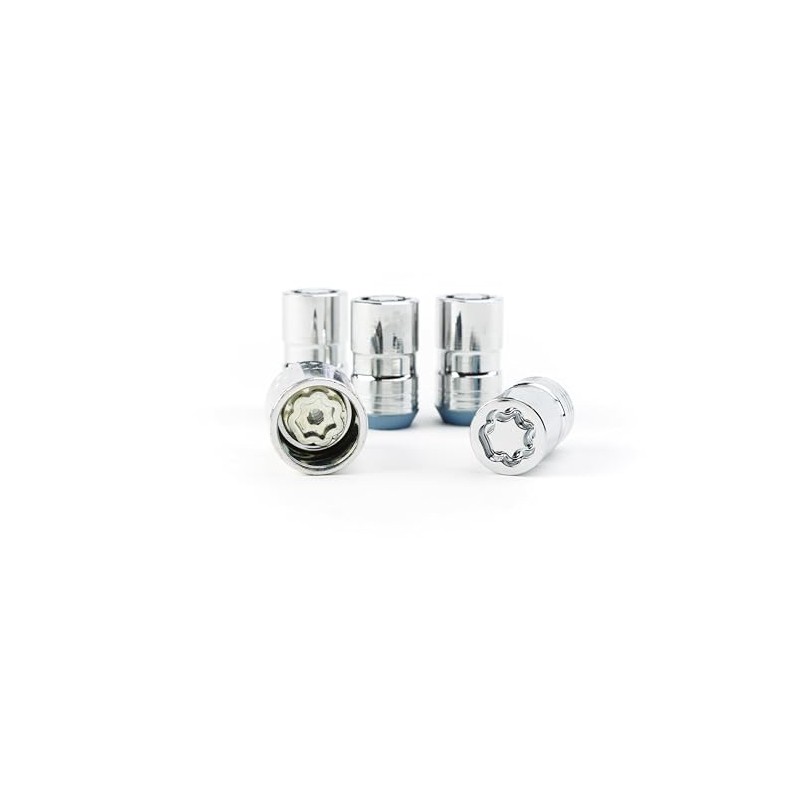 GM Accessories 19259109 Wheel Lock Kit in Chrome (Pack of