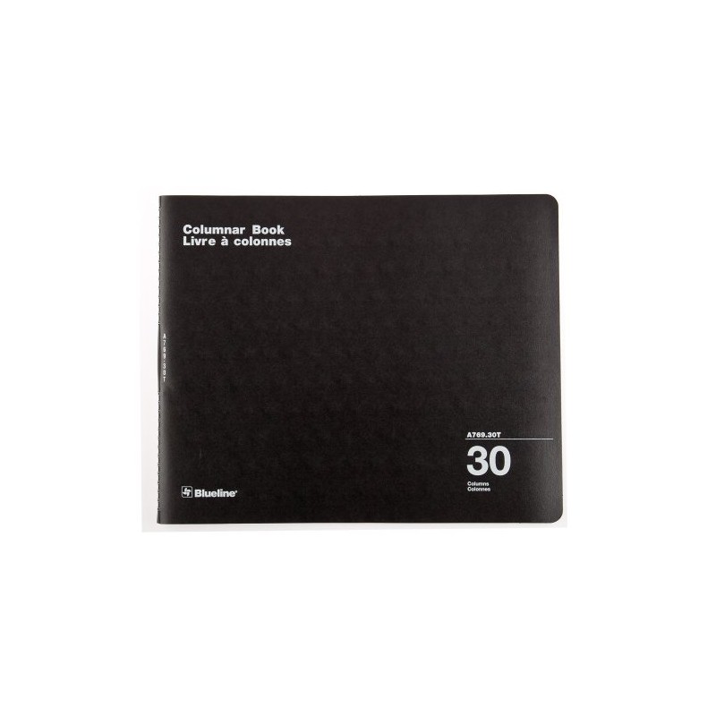 Blueline Columnar Book, Twin-Wire Binding, 30 Columns with Description, 80