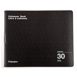 Blueline Columnar Book, Twin-Wire Binding, 30 Columns with Description, 80 Pages, 12-Inch x 14-15/16-Inch, Black (A769.30T)