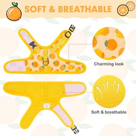 BINGPET Cat Harness with Leash Escape Proof - Fashionable Mesh Cat Dog Walking Harness Leads, Adjustable for Kitties Puppies Small Animals,Orange,S