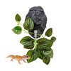 Reptile Water Dish with Dripper, Adjustable Wall-Mounted Water Bowl for