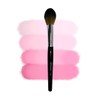 Cinema Secrets P74- Precision Powder Brush