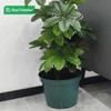 RooTrimmer 8 inches Nursery Pot Plant Grow Sturdy Flower pots
