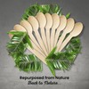 Eco Leaf 100pcs Disposable Wooden Spoons, 16cm, Biodegradable & Compostable