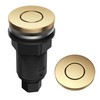 KRAUS Flat-Top Garbage Disposal Air Switch Button in Brushed Brass,