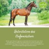 tierlieb Biotin Tablets for Horses, for Hooves, Skin and Coat,
