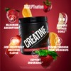 Sculpt Nation by V Shred Creatine - Premium Creatine Monohydrate