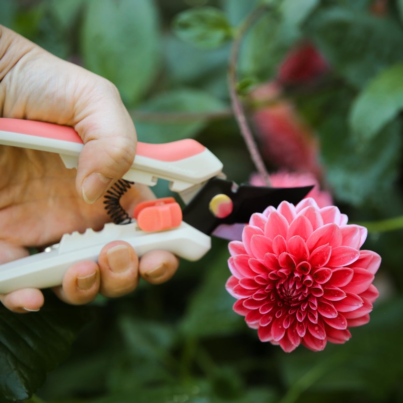 Fiskars Floral Pruning Shears - Plant Cutting Scissors/Garden Clippers For