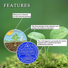 6 Month Sobriety Coin Sobriety Chips AA Chip AA Coins Sober Token Recovery Medallion NA Chips NA Coins from 1 to 12 Months Plastic case Included-Baking Paint Process