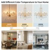Crystal Chandelier Light Fixture, Modern K9 Crystal Chandeliers for Dining