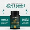 Ambrosial Lion's Mane with Black Pepper - 2000 mg -