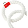 Rosewood Parrot Toy Twin Parrot Rings, Large,White