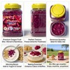 9.5oz Freeze Dried Dragon Fruit Cubes, Crispy & Light Red