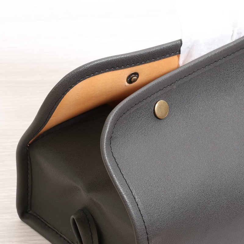 Fuji Boeki Tissue Case, Width 10.4 x Depth 4.9 x