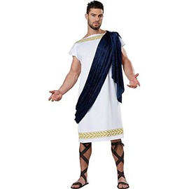 California Costumes Men's Grecian Toga, White/Navy, Large