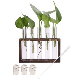 Voittozege 1 Set Plant Propagation Station Desktop Hydroponics Rack Plant Terrarium with Wooden Stand Plant Terrarium with Test Tube for Hydroponic Plants Office Home Decoration(5 Test Vase)
