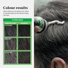 Just For Men Shampoo-in Colour, Grey Hair Dye for Men,