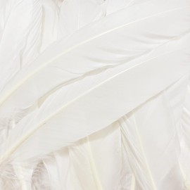 White Feathers,Natural Big Long Goose Feather,8-10 inches (20-25cm),Large Size Bilateral Feathers,Left and Right Wings for Crafts,Bulk 12pcs (Natural White)