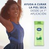 Vaseline Intensive Care Aloe Soothe Restores And Soothes Dry Skin