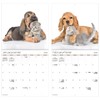 2025 Buddies Wall Calendar (Bilingual French) (English and French Edition)