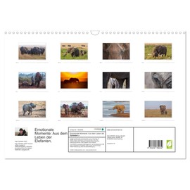 Emotionale Momente: Aus dem Leben der Elefanten. (Wandkalender 2025 DIN A3 quer), CALVENDO Monatskalender [Calendar] Ingo Gerlach GDT
